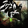 ardescar