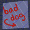 baddognobiscuits