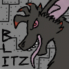 blitzecho