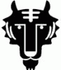 darktiger77