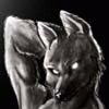 darkwolfie