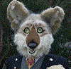 firelinecoyote