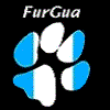 furgua