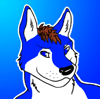 kinthehusky