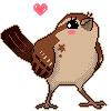 little.sparrow