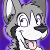 snickersthehusky