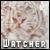 watcher