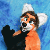 furryfoxus