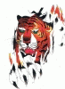 tigerdemon