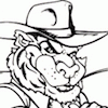 cowboytiger