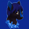 vek-the-skunk