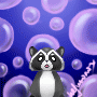 raccoontey