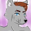 furryfox1211