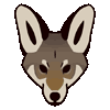 coyote-ish