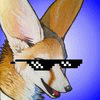 professorfennec