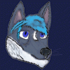 dukebluewolf