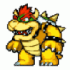 bowser19