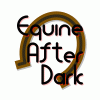 equine-after-dark