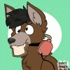 sonicfofogamer08
