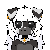 puppiwuppi