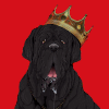 kingmastiff30