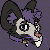 IndyRat