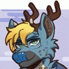 kashrileydeer