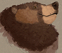 kurukthebear