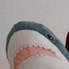 rawshark