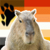 butchcapybara