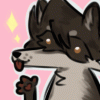 raccoonspace