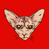 hyphoree