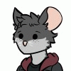slimwidge
