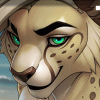 AcinoTheCheetah