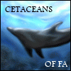 cetaceans