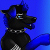 AeroTheBlueWolf