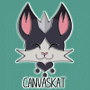 canvaskat