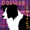 colliesunited