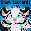 SnowLeopards