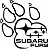 subarufurs