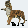 taurs_club