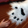 FursuitChannel