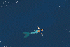 Mermaid_Nerine Mermaid_Nerine