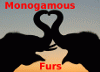monogamous_furs monogamous_furs