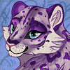 QuyetPawz QuyetPawz
