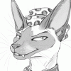 redcoatcat redcoatcat