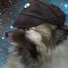 teddog teddog