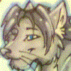 BakaNeko BakaNeko