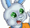 Bungeebunny Bungeebunny
