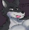 DarK_furrTw DarK_furrTw